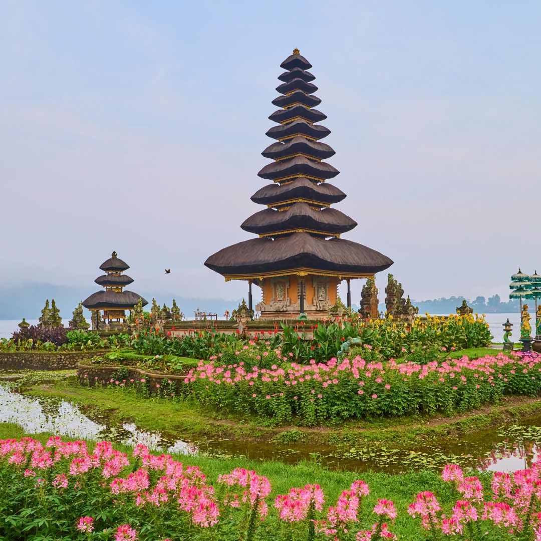 delhi bali tour pakage